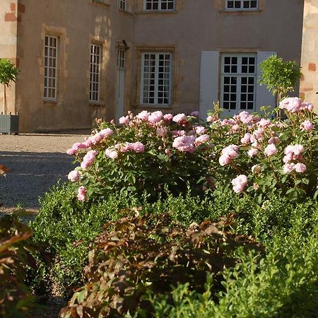 לינה וארוחת בוקר Villeneuve-sur-Allier Chateau Du Riau מראה חיצוני תמונה
