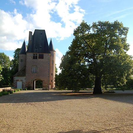 לינה וארוחת בוקר Villeneuve-sur-Allier Chateau Du Riau מראה חיצוני תמונה