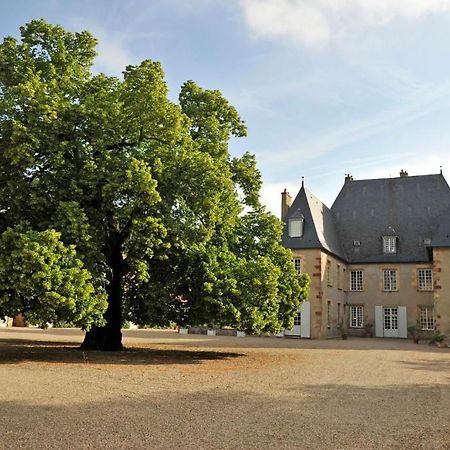 לינה וארוחת בוקר Villeneuve-sur-Allier Chateau Du Riau מראה חיצוני תמונה