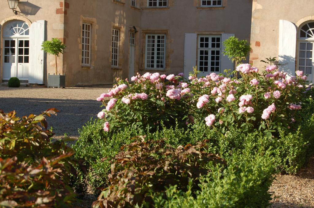 לינה וארוחת בוקר Villeneuve-sur-Allier Chateau Du Riau מראה חיצוני תמונה