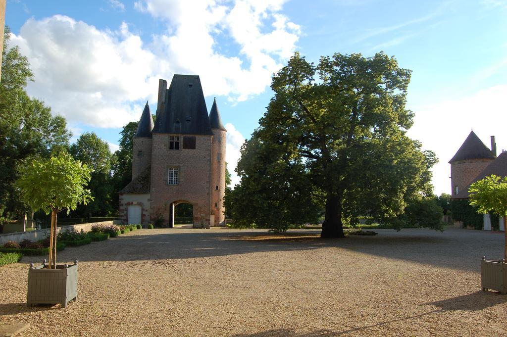 לינה וארוחת בוקר Villeneuve-sur-Allier Chateau Du Riau מראה חיצוני תמונה