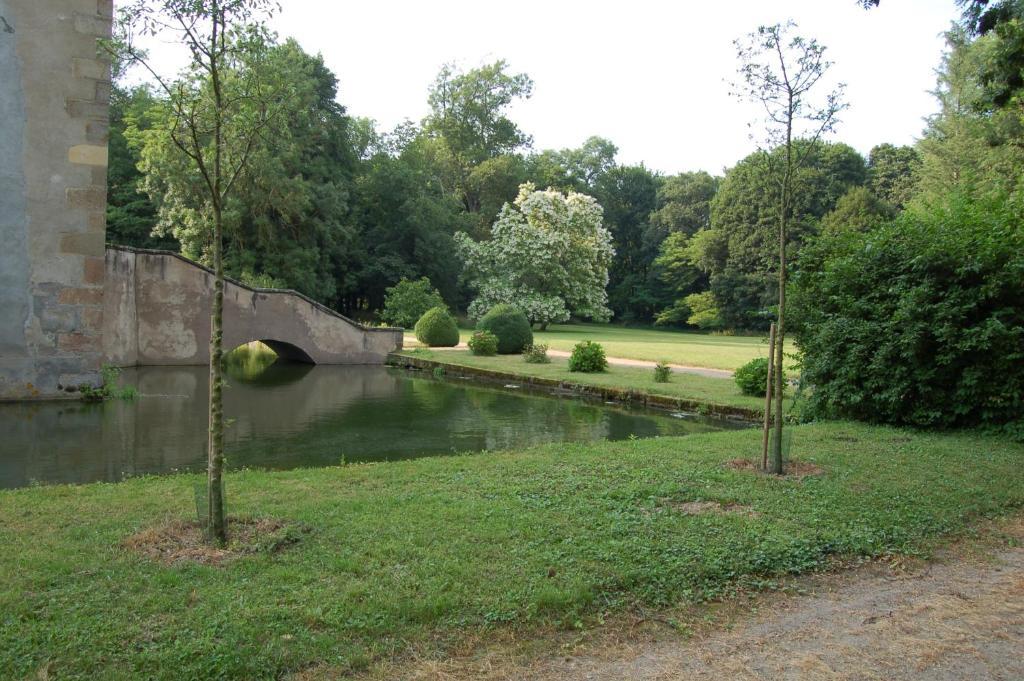 לינה וארוחת בוקר Villeneuve-sur-Allier Chateau Du Riau מראה חיצוני תמונה