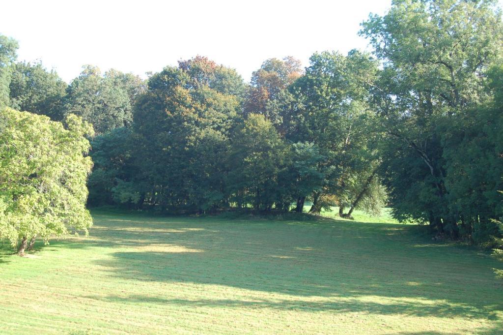 לינה וארוחת בוקר Villeneuve-sur-Allier Chateau Du Riau מראה חיצוני תמונה