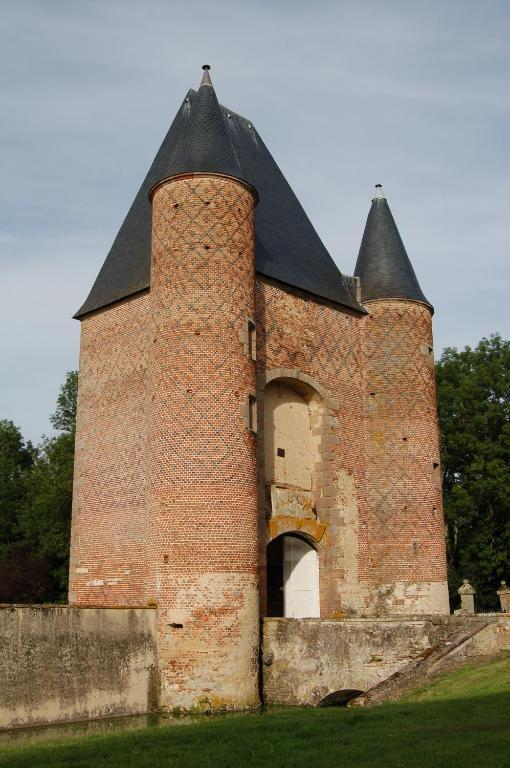 לינה וארוחת בוקר Villeneuve-sur-Allier Chateau Du Riau מראה חיצוני תמונה